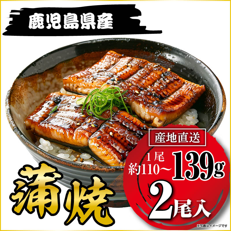 国産うなぎ蒲焼139g×２尾 鹿児島県産 えんじ柄