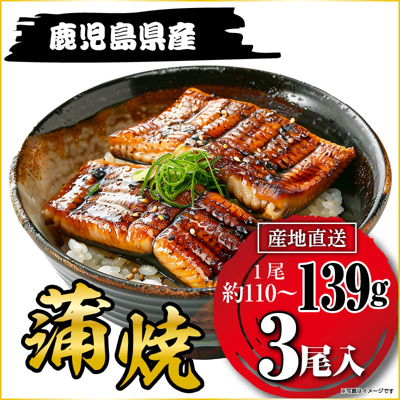 国産うなぎ蒲焼139g×3尾 鹿児島県産 和紙柄