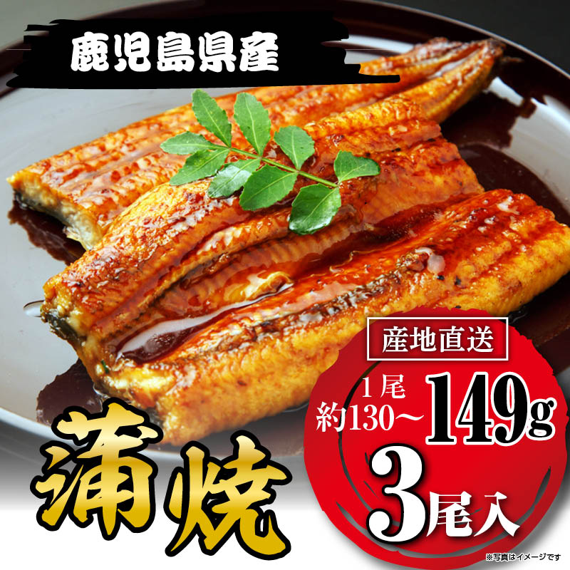 国産うなぎ蒲焼149g×3尾 鹿児島県産 和紙柄