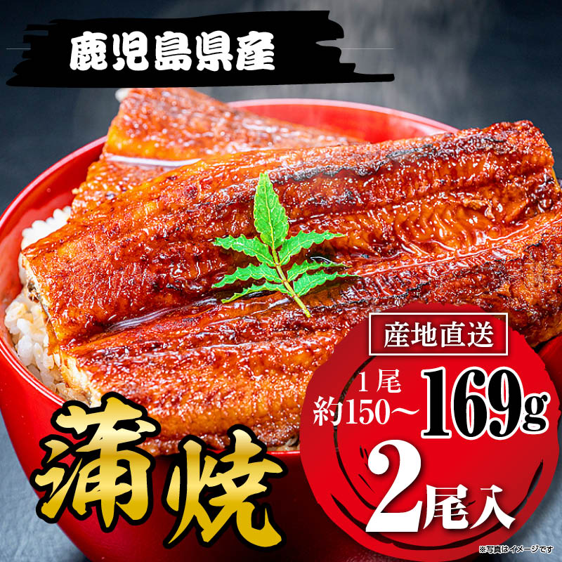 国産うなぎ蒲焼169g×２尾 鹿児島県産 和紙柄