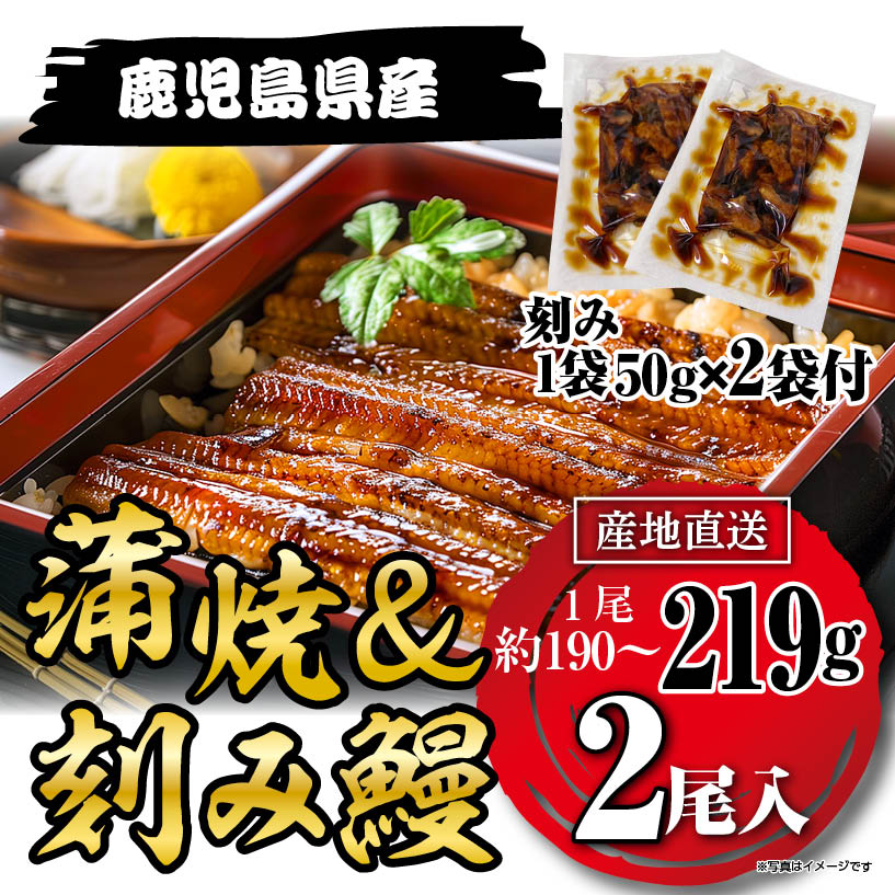 国産うなぎ蒲焼219g×2尾＋刻みうなぎ2袋セット鹿児島県産