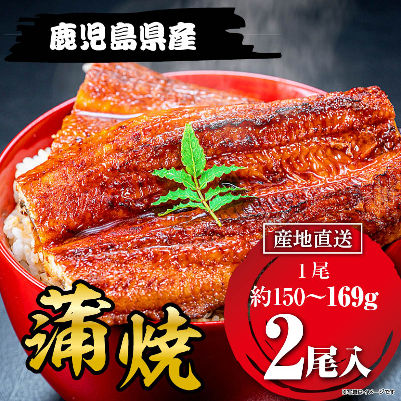 国産うなぎ蒲焼169g×２尾 鹿児島県産