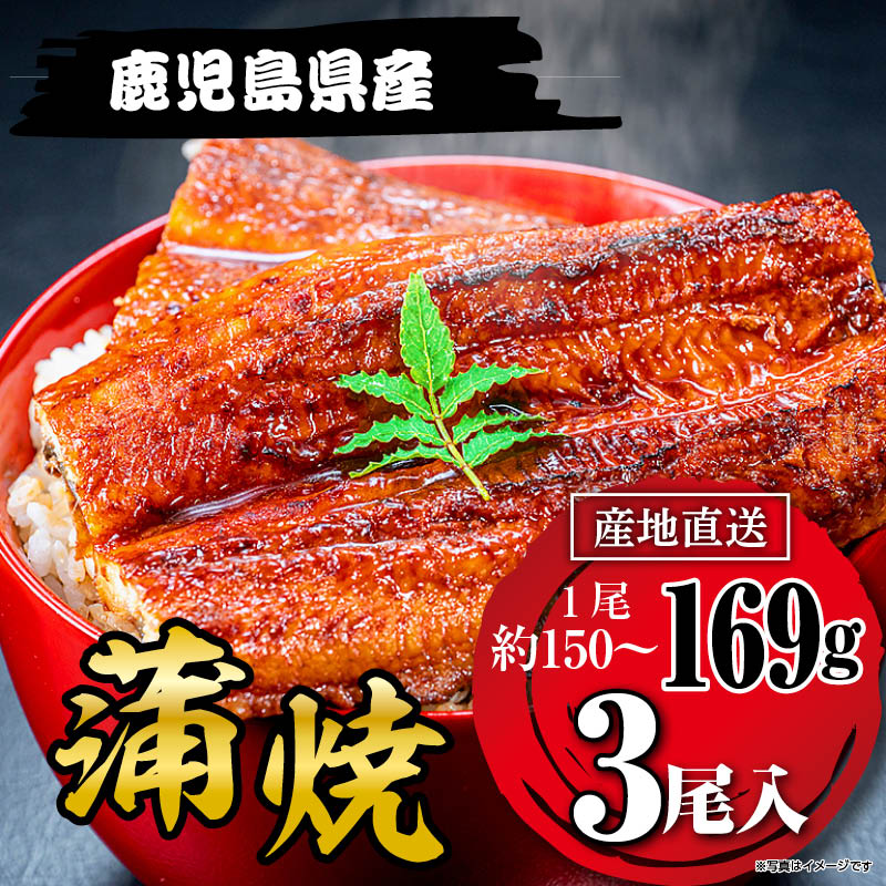 国産うなぎ蒲焼169g×３尾 鹿児島県産