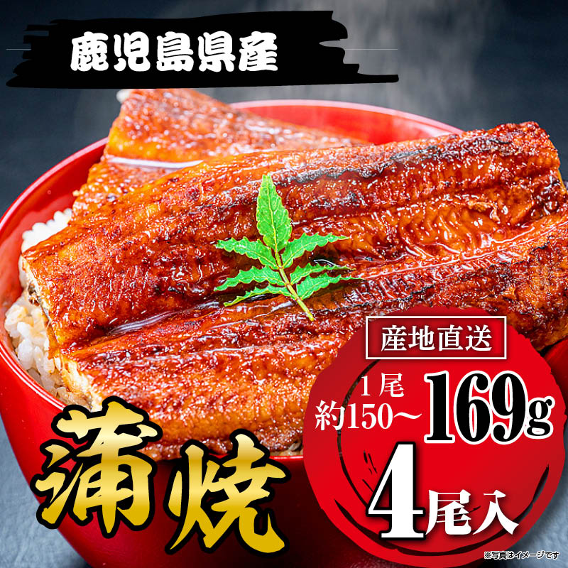 国産うなぎ蒲焼169g×４尾 鹿児島県産
