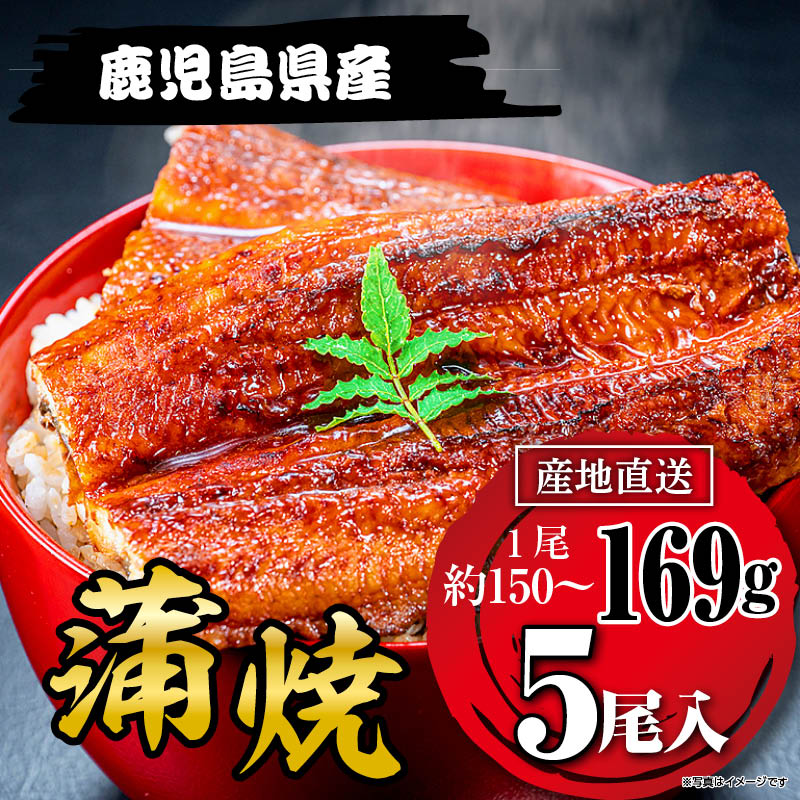 国産うなぎ蒲焼169g×５尾 鹿児島県産