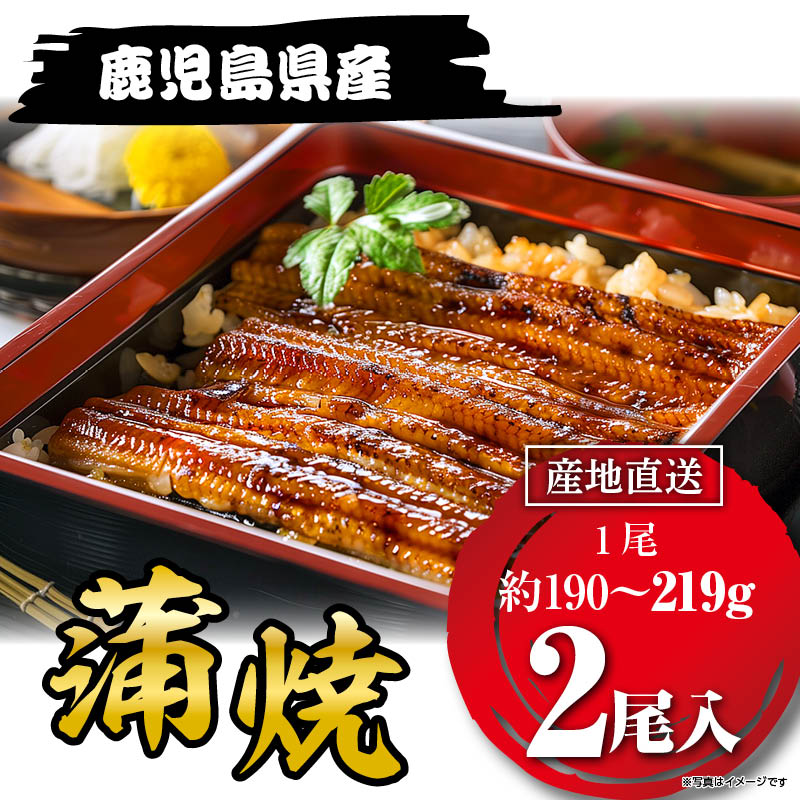 国産うなぎ蒲焼219g×２尾 鹿児島県産