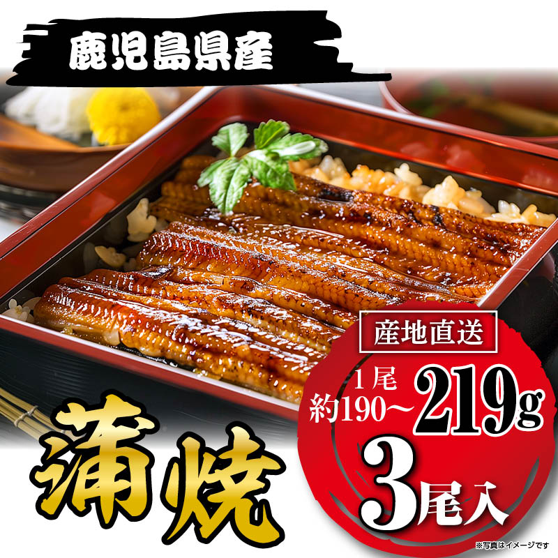 国産うなぎ蒲焼219g×３尾 鹿児島県産