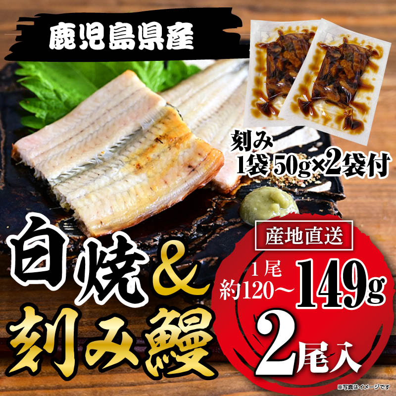 国産うなぎ白焼149g×2尾＋刻みうなぎ2袋セット鹿児島県産