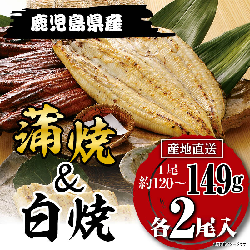 国産うなぎ蒲焼・白焼セット 149g×各２尾 鹿児島県産