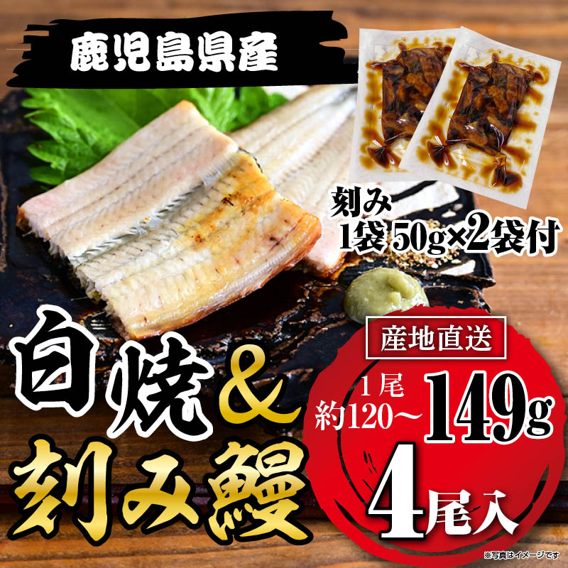 国産うなぎ白焼149g×4尾＋刻みうなぎ2袋セット鹿児島県産