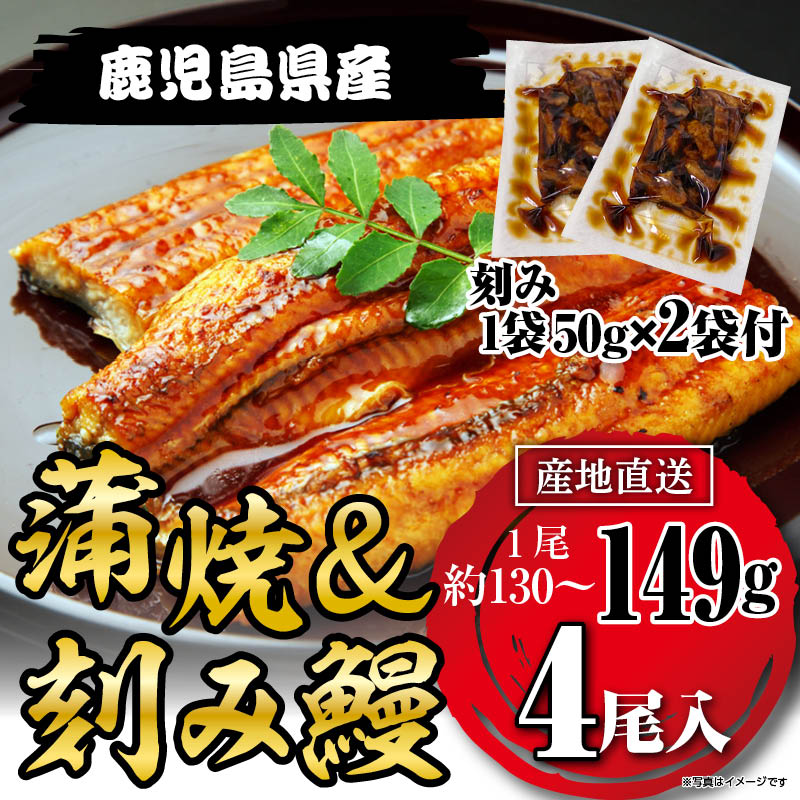 国産うなぎ蒲焼149g×4尾＋刻みうなぎ2袋セット鹿児島県産