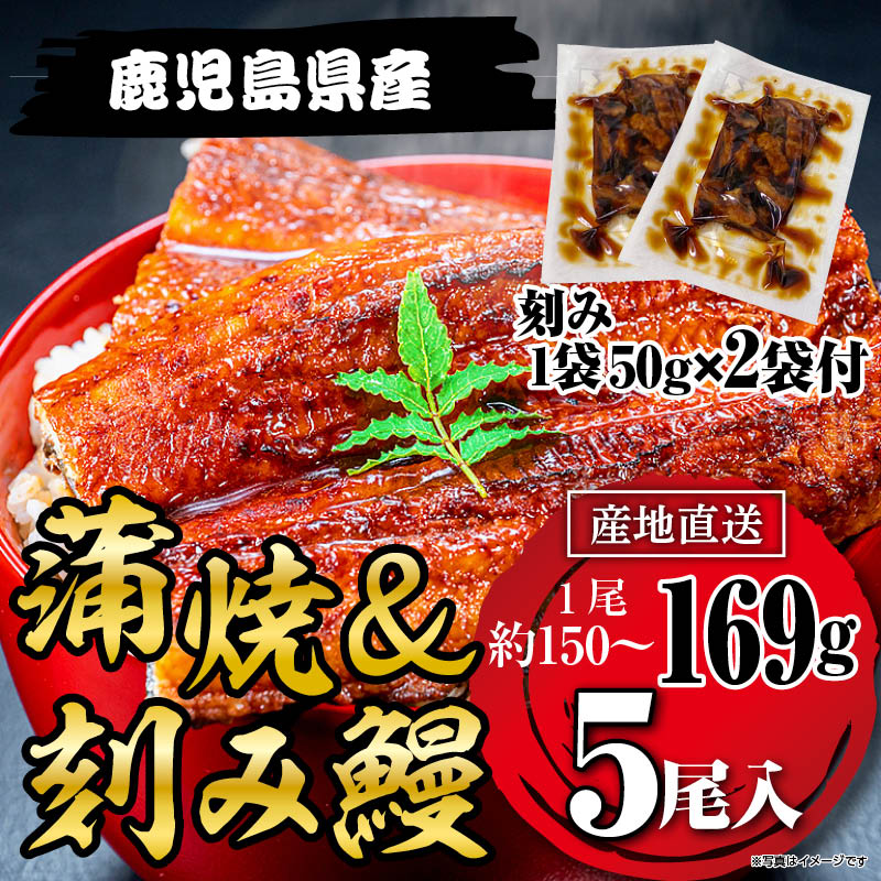 国産うなぎ蒲焼169g×5尾＋刻みうなぎ2袋セット鹿児島県産