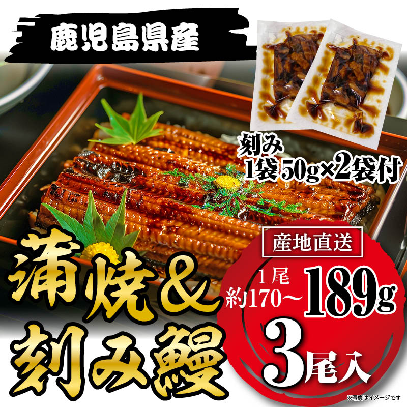 国産うなぎ蒲焼189g×3尾＋刻みうなぎ2袋セット鹿児島県産