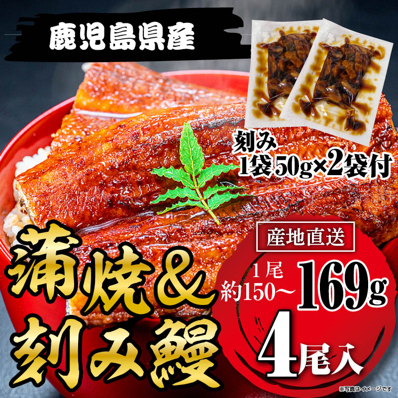 国産うなぎ蒲焼169g×4尾＋刻みうなぎ2袋セット鹿児島県産