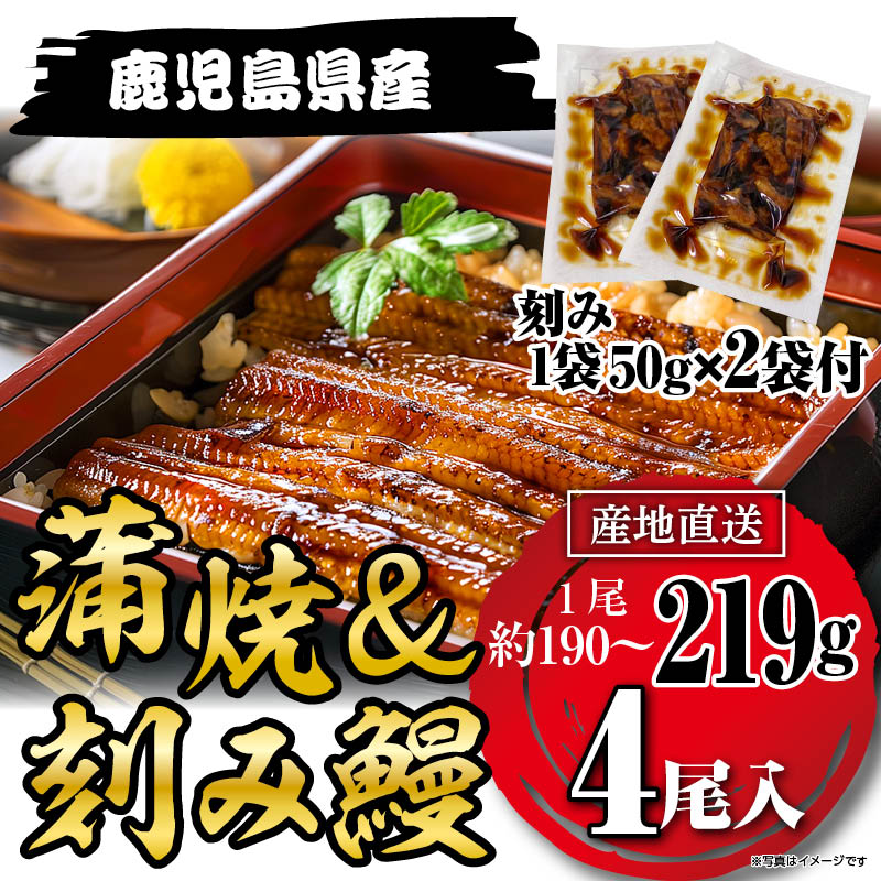 国産うなぎ蒲焼219g×4尾＋刻みうなぎ2袋セット鹿児島県産
