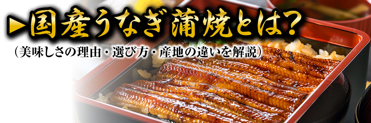 国産うなぎ蒲焼とは｜美味しさの理由や選び方・産地の違いを解説するガイドバナー