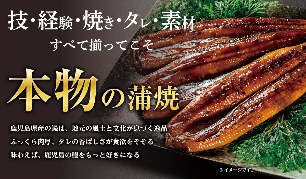 本物の蒲焼