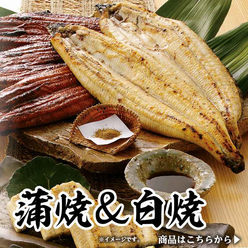 鹿児島県産うなぎ詰合せギフト｜蒲焼＆白焼きの贅沢セット