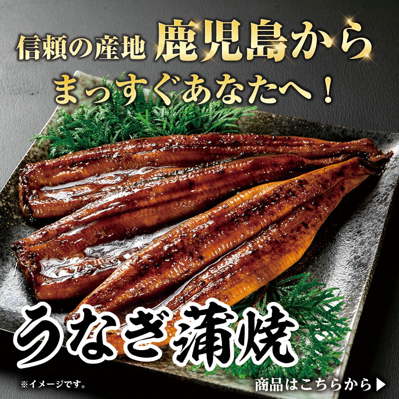 鹿児島県産うなぎ蒲焼き｜国産うなぎ専門店の人気商品