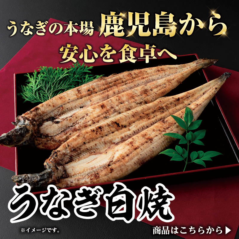 鹿児島県産うなぎ白焼き｜素材の旨みを味わう国産うなぎ