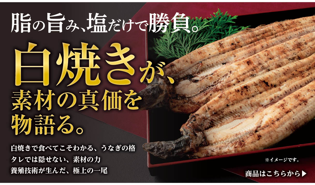 本物の白焼