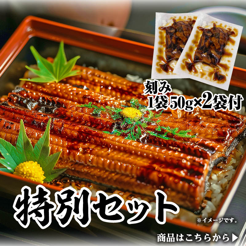 鹿児島県産うなぎ特別セット｜蒲焼・白焼・刻みの豪華詰合せ