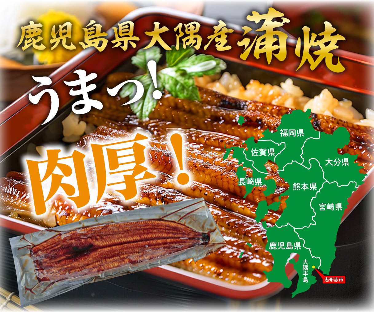 鹿児島県大隅産うなぎ