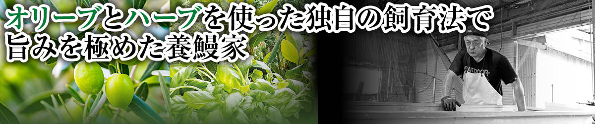 オリーブとハーブを使った独自の飼育法で旨みを極めた養鰻家