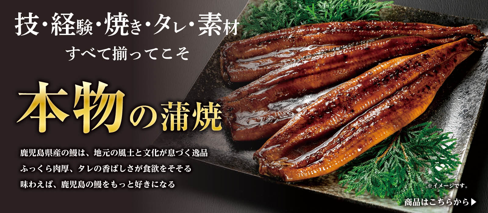 国産うなぎ通販鰻の郷鹿児島蒲焼
