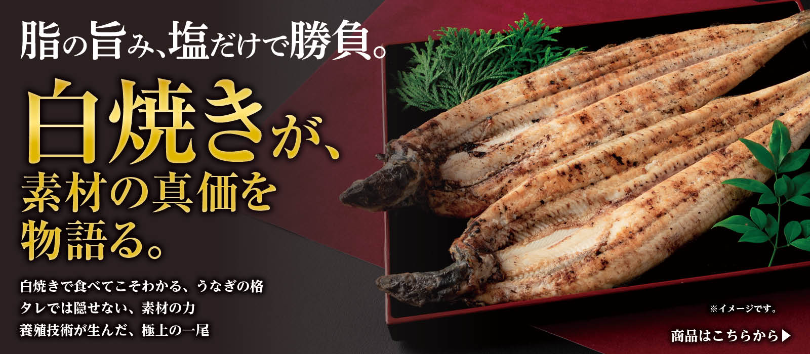 国産うなぎ通販鰻の郷鹿児島白焼き
