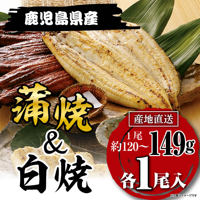 国産うなぎ蒲焼・白焼セット 149g×各 1 尾 鹿児島県産