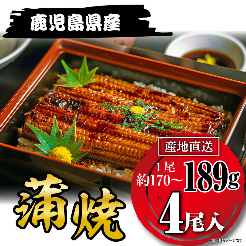 国産うなぎ蒲焼189g×４尾 鹿児島県産