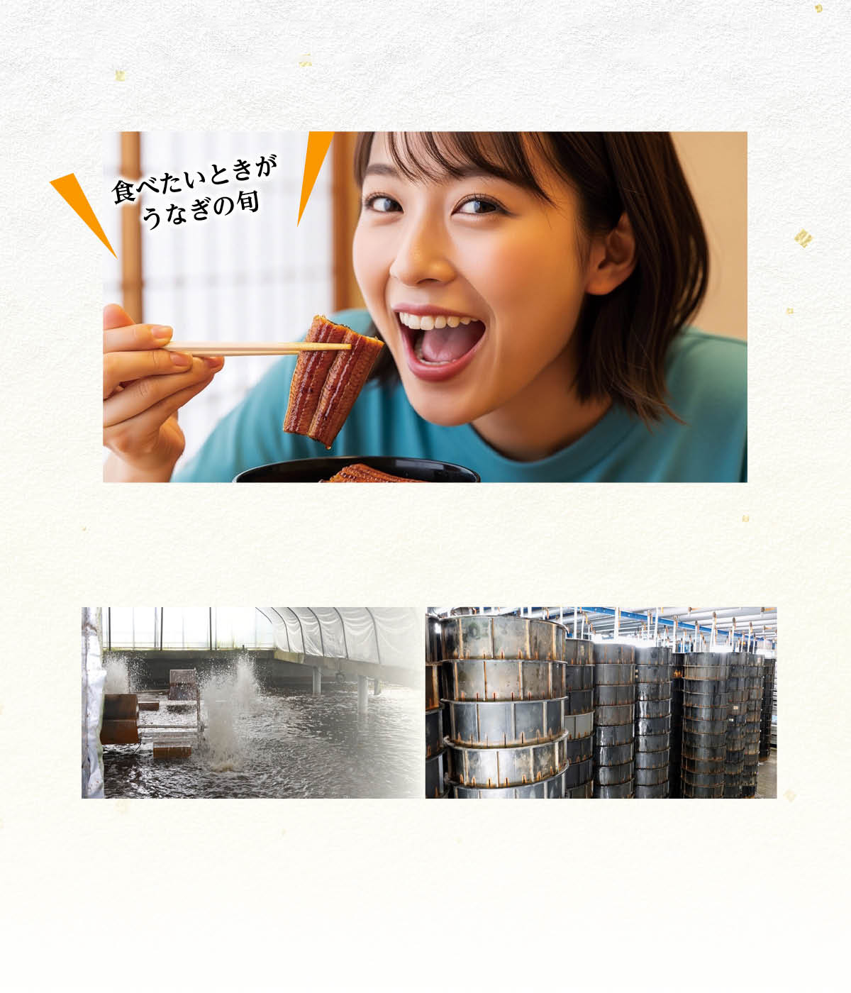 うなぎの旬っていつ